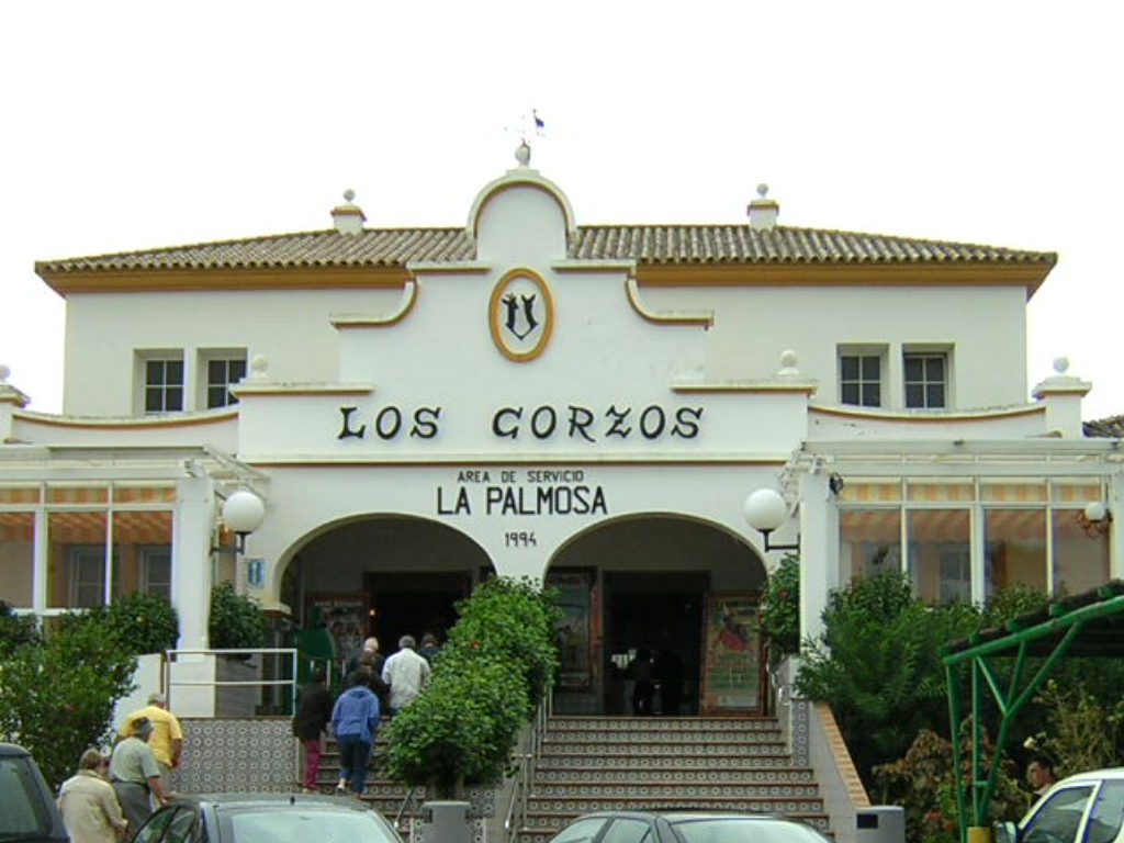 corzos